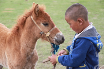 mongolia-tailor-made-tour-guide-nomads-2