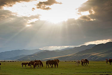 Orkhon Valley - Mongolia