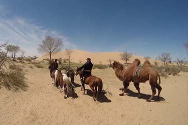 Discovery, hiking and horse riding tour in Mongolia