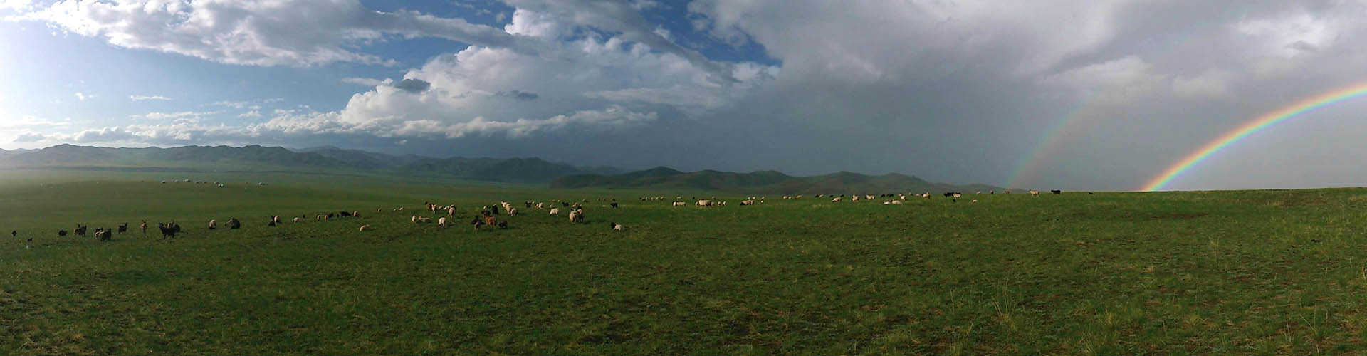 Gandan Monastery in Ulan Bator - Mongolia