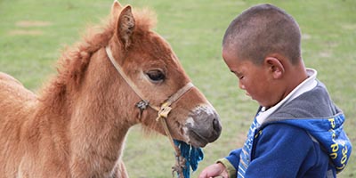 Mongolia - Gobi Desert Tour