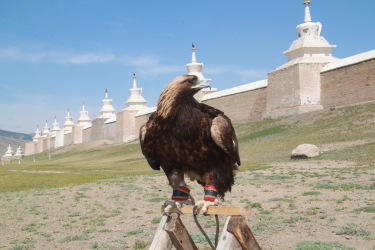 Discovery, hiking and horse riding tour in Mongolia