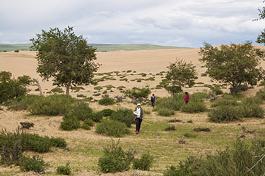 Discovery, hiking and horse riding tour in Mongolia