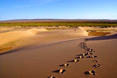 Discovery, hiking and horse riding tour in Mongolia