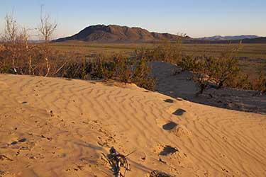 Discovery, hiking and horse riding tour in Mongolia