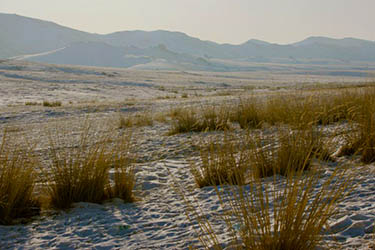 Winter hiking and trekking tour in Mongolia