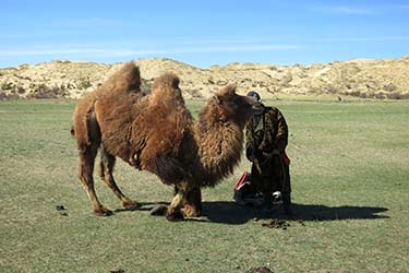 Discovery, hiking and horse riding tour in Mongolia