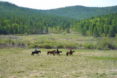 Discovery, hiking and horse riding tour in Mongolia