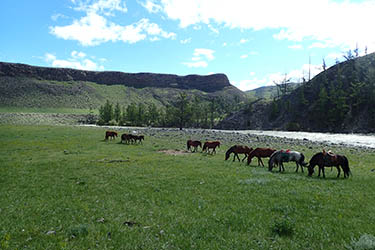 Discovery, hiking and horse riding tour in Mongolia