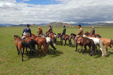 Discovery, hiking and horse riding tour in Mongolia