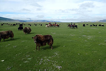 Discovery, hiking and horse riding tour in Mongolia