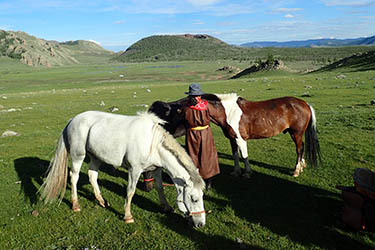 Discovery, hiking and horse riding tour in Mongolia