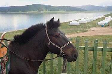 Discovery, hiking and horse riding tour in Mongolia