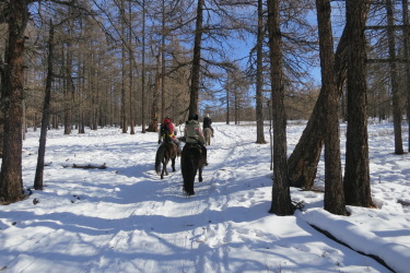 Discovery, hiking and horse riding tour in Mongolia