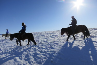 Discovery, hiking and horse riding tour in Mongolia